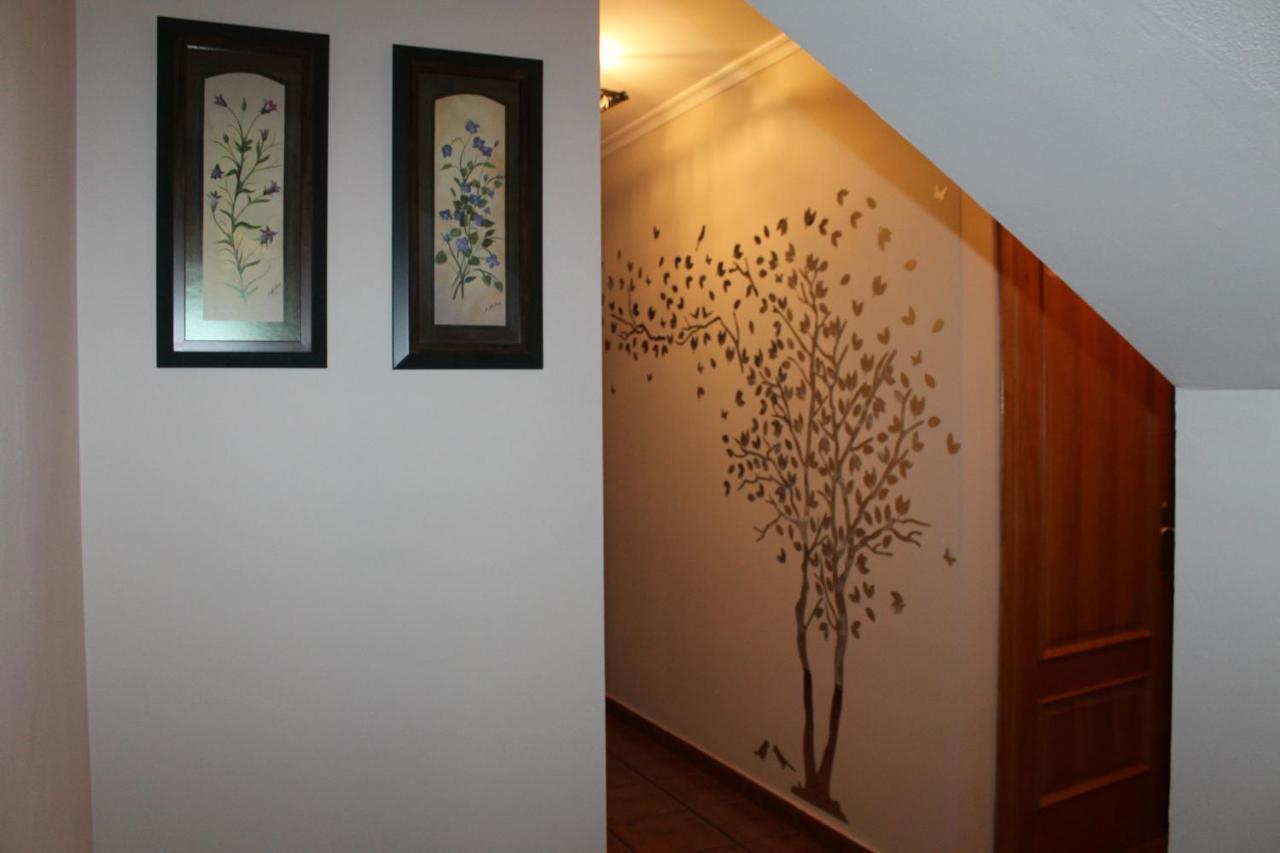 Buena Ventura Apartment